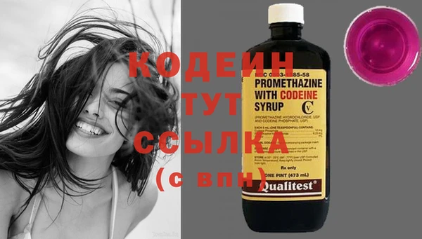 индика Беломорск