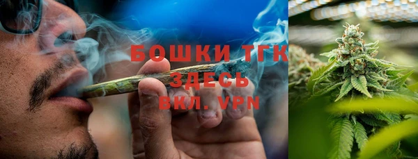 индика Беломорск