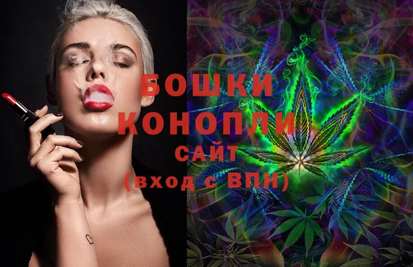 индика Беломорск