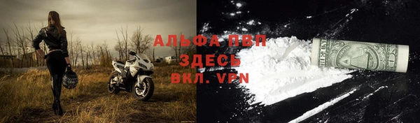 экстази Белокуриха