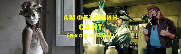 индика Беломорск