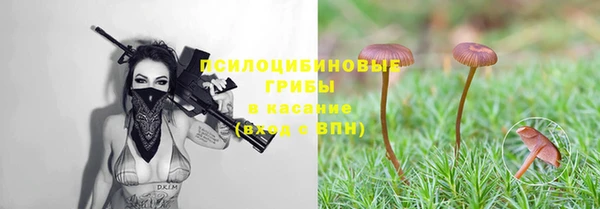 экстази Белокуриха