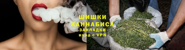 индика Беломорск