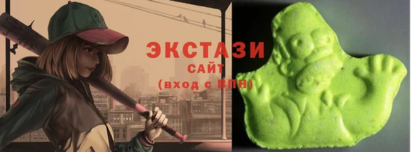 индика Беломорск