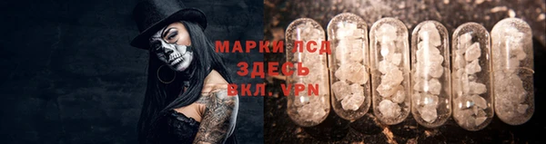 стаф Белоозёрский