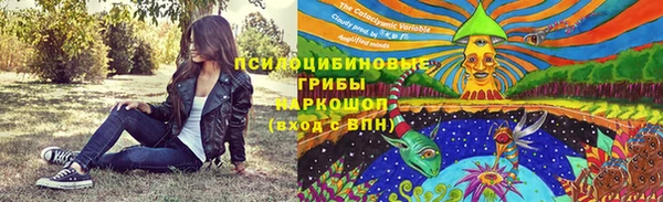 индика Беломорск