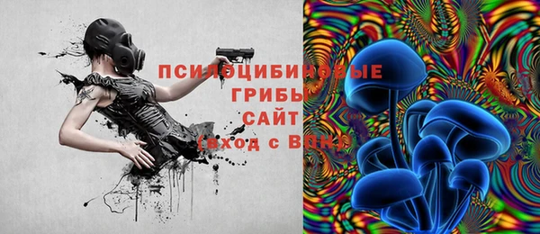 индика Беломорск