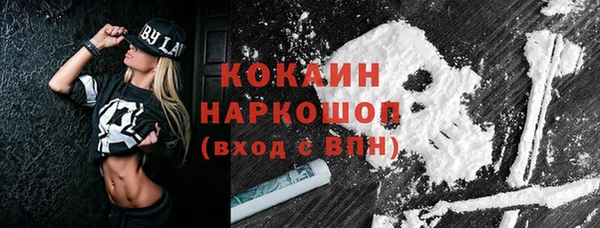 индика Беломорск