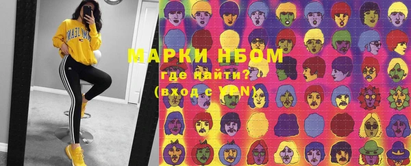 индика Беломорск