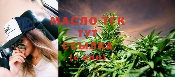индика Беломорск