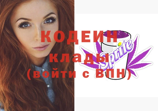 индика Беломорск