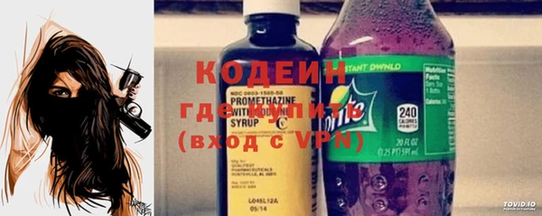 индика Беломорск