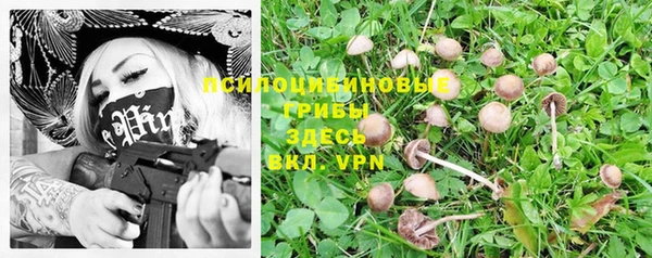 экстази Белокуриха